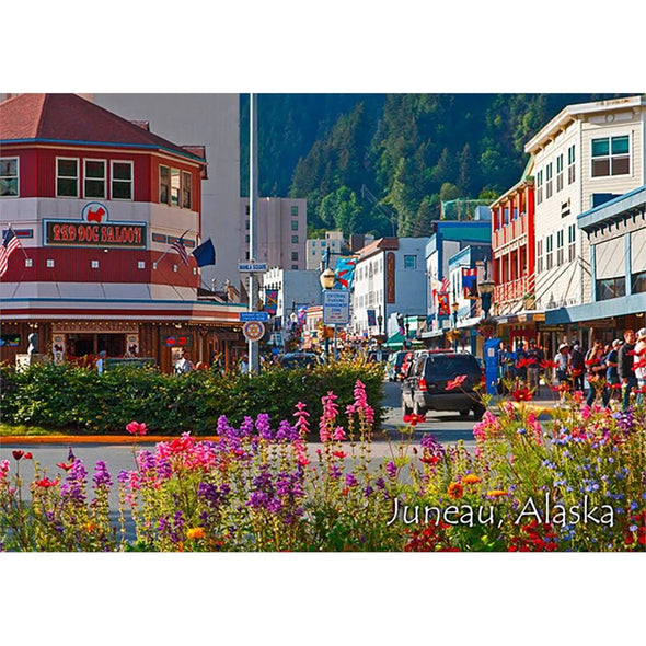 Juneau Alaska Animated 2 Images - Animated 3D Postcard Greeting card- NEW Postcard 3dstereo 