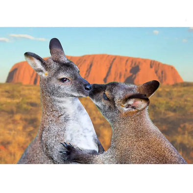 Kangaroos - 3D Lenticular Postcard Greeting Cardd - NEW Postcard 3dstereo 