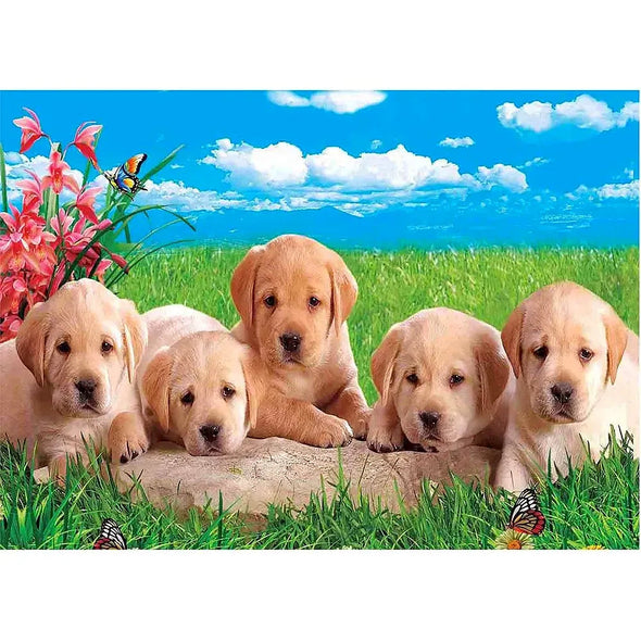 Labrador Pups - 3D Lenticular Poster - 12x16 - NEW