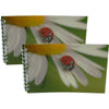 LADYBUG ON DAISY - Two (2) Notebooks with 3D Lenticular Covers - Unlined Pages - NEW Notebook 3Dstereo.com 