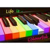 Life Is Colorful - 3D Action Lenticular Postcard Greeting Card- NEW Postcard 3dstereo 