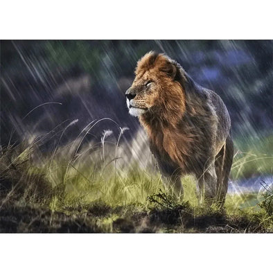 Lion in the rain - 3D Lenticular Postcard Greeting Cardd - NEW Postcard 3dstereo 