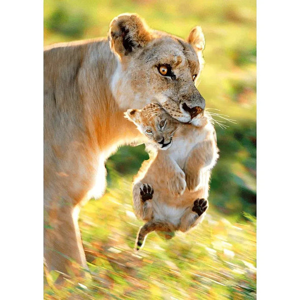 Lioness - 3D Lenticular Postcard Greeting Card - NEW Postcard 3dstereo 