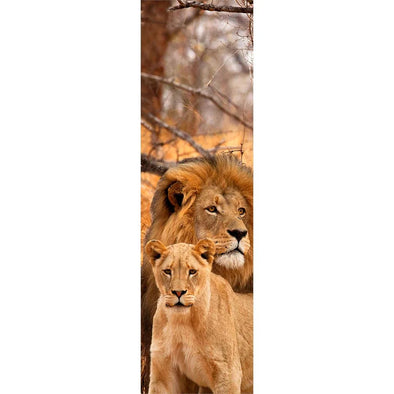 LIONS - 3D Lenticular Bookmark - NEW
