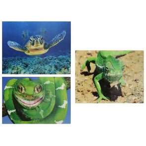 LIZARD, TURTLE, SNAKE- 3D - Lenticular Postcard Greeting Card - Motion - NEW Postcard 3dstereo 