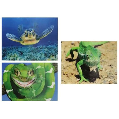 LIZARD, TURTLE, SNAKE- 3D - Lenticular Postcard Greeting Card - Motion - NEW Postcard 3dstereo 