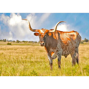 Longhorn Steer - 3D Lenticular Postcard Greeting Cardd - NEW Postcard 3dstereo 