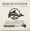 Marineland of Florida - View-Master 3 Reel Packet - 1960s views - vintage - ( PKT-A964-S5) Packet 3dstereo 