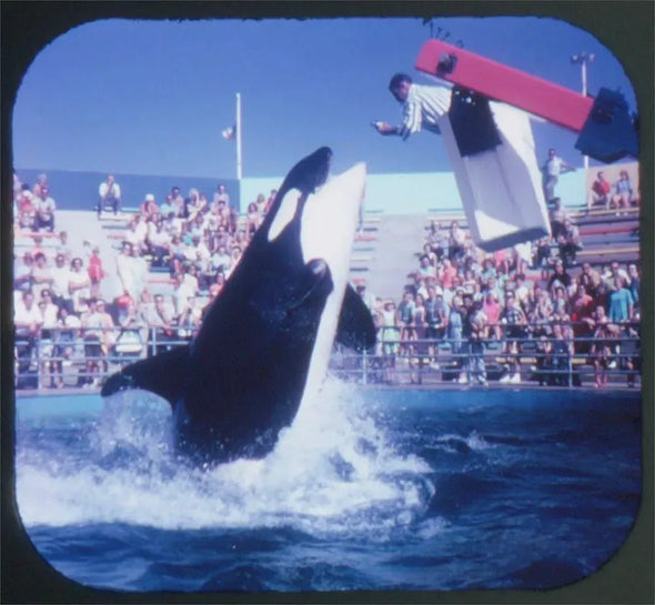 Andrew - Marineland of the Pacific - Packet NO. 2 - View-Master 3 Reel Packet - 1970s views - vintage (A199-G1A) Packet 3dstereo 