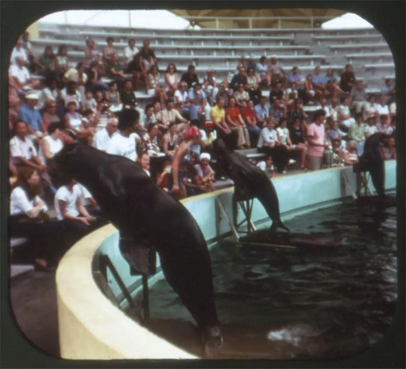 Andrew - Miami Seaquarium - Packet No. 2 - View-Master 3 Reel Packet - 1977 - vintage - (H49-G5) Packet 3Dstereo 