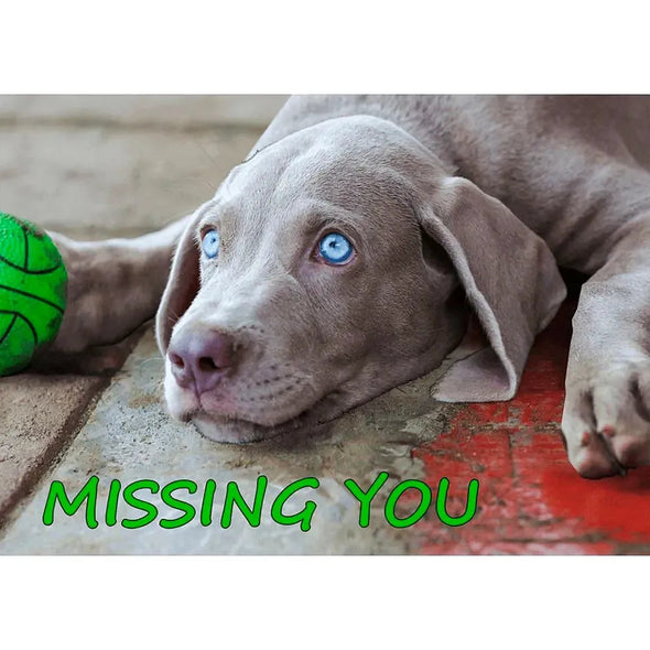 Missing You - Waimaran Dog - 3D Lenticular Postcard Greeting Card- NEW Postcard 3dstereo 