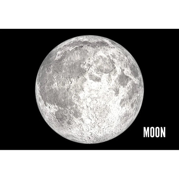 MOON - LUNAR PHASE - 2 Image 3D Flip Magnet for Refrigerators, Whiteboards, and Lockers - NEW MAGNET 3dstereo 