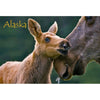 MOOSE AND CALF - ALASKA - 3D Magnet for Refrigerators, Whiteboards, and Lockers - NEW MAGNET 3dstereo 