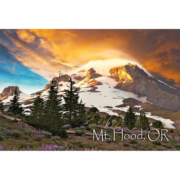 MOUNT HOOD - 2 Image 3D Magnet for Refrigerators, Whiteboards, and Lockers - NEW MAGNET 3dstereo 