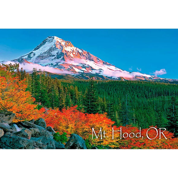 MOUNT HOOD - 2 Image 3D Magnet for Refrigerators, Whiteboards, and Lockers - NEW MAGNET 3dstereo 