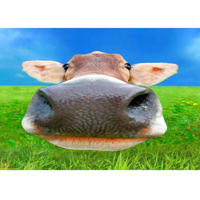 Nosy Cow - 3D Lenticular Postcard Greeting Card - NEW Postcard 3dstereo 