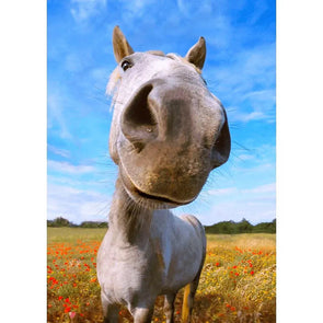 Nosy Horse - 3D Lenticular Postcard Greeting Card - NEW Postcard 3dstereo 