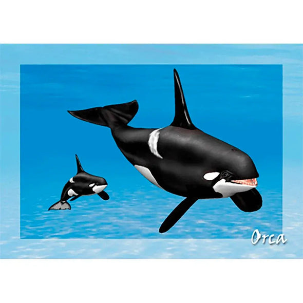Orca - Killer Whale - 3D Action Lenticular Postcard Greeting Card - NEW Postcard 3dstereo 