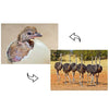 Ostrich egg and flock - 3D Action Lenticular Postcard Greeting Card - NEW Postcard 3dstereo 