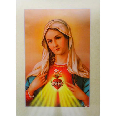 Our Lady of Immaculate Heart - Religious - 3D Lenticular Poster - 12x16 - NEW Poster 3dstereo 