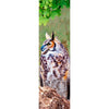 OWL - 3D Animated Lenticular Bookmark -NEW Bookmarks 3Dstereo 