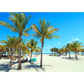 Palm and Sand - Beach Scene - 3D Lenticular Postcard Greeting Card- NEW Postcard 3dstereo 