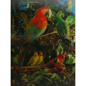 Parrot - 3D Lenticular Poster - 12 X 16 Poster 3dstereo 