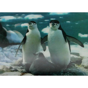 Penguins with Chicks - 3D Lenticular Poster - 10 X 14 - NEW Poster 3dstereo 