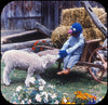 Sesame Street - Baby Animals - ViewMaster 3 Reel Set - new WKT 3Dstereo 