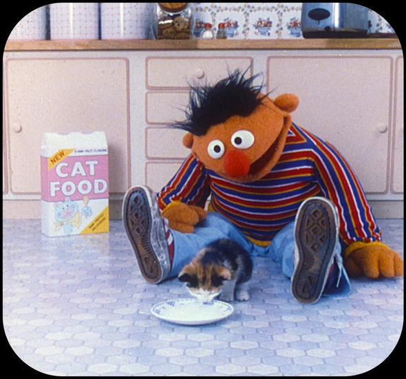 Sesame Street - Baby Animals - ViewMaster 3 Reel Set - new WKT 3Dstereo 