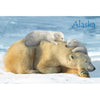 POLAR BEAR & CUBS - ALASKA - 3D Magnet for Refrigerators, Whiteboards, and Lockers - NEW