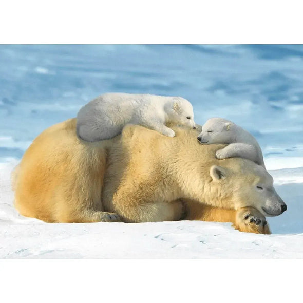Polar Bear Mother with cubs - 3D Lenticular Postcard Greeting Cardd - NEW Postcard 3dstereo 