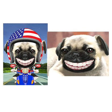 Pug- Smiling, Pug in a Bike - 2 3D Lenticular Humorous Postcards - NEW Postcard 3dstereo 