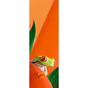 RED EYED TREE FROG - 3D Clip-On Lenticular Bookmark -NEW Bookmarks 3Dstereo 