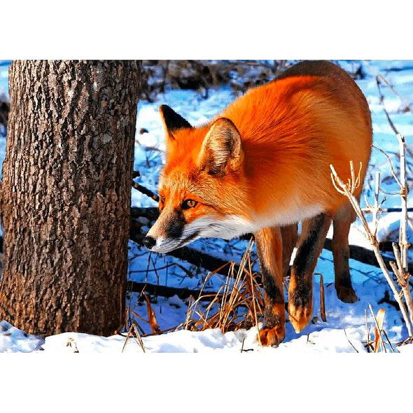 Red Fox - 3D Lenticular Postcard Greeting Cardd - NEW Postcard 3dstereo 