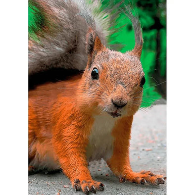 Red Squirrel - 3D Lenticular Postcard Greeting Cardd - NEW Postcard 3dstereo 