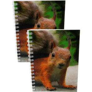 RED SQUIRREL - Two (2) Notebooks with 3D Lenticular Covers - Unlined Pages - NEW Notebook 3Dstereo.com 