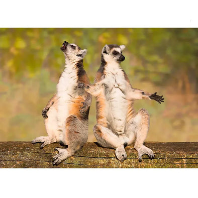 Ring-tailed Lemurs - 3D Lenticular Postcard Greeting Card - NEW Postcard 3dstereo 