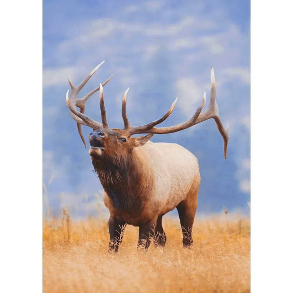 Rocky Mountain Elk - 3D Lenticular Postcard Greeting Card - NEW Postcard 3dstereo 