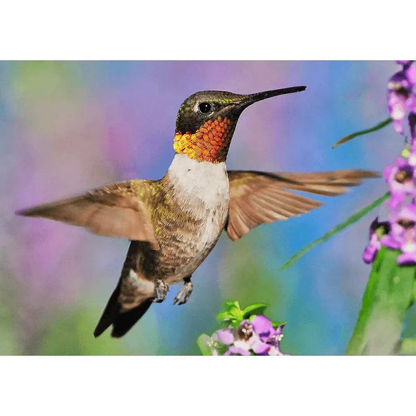 Ruby-throated Hummingbird - 3D Lenticular Postcard Greeting Card Postcard 3dstereo 