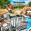 Animals - At the St. Louis Zoo - Vintage Classic View-Master - 1950s views CREL 3Dstereo.com 