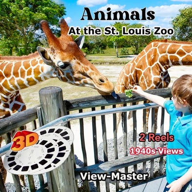 Animals - At the St. Louis Zoo - Vintage Classic View-Master - 1950s views CREL 3Dstereo.com 