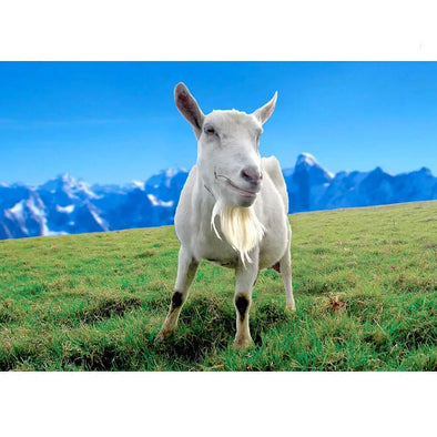 Saanen Goat - 3D Lenticular Postcard Greeting Card - NEW Postcard 3dstereo 
