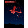 SAGITTARIUS - Zodiac Sign - 3D Action Lenticular Postcard Greeting Card - NEW Postcard 3dstereo 