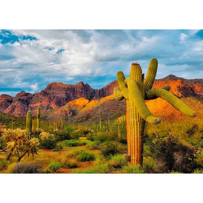 Saguaro Cactus 2 - Sonoran Desert Plant - 3D Lenticular Postcard Greeting Card - NEW Postcard 3dstereo 