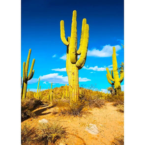 Saguaro Cactus - 3D Lenticular Postcard Greeting Card - NEW Postcard 3dstereo 