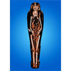 Sarcophagus of Amen-Nestawy-Nakht - 3D Action Lenticular Postcard Greeting Card Postcard 3dstereo 