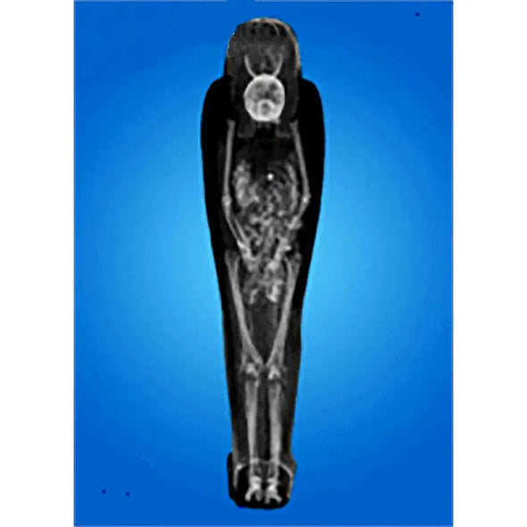 Sarcophagus of Amen-Nestawy-Nakht - 3D Action Lenticular Postcard Greeting Card Postcard 3dstereo 