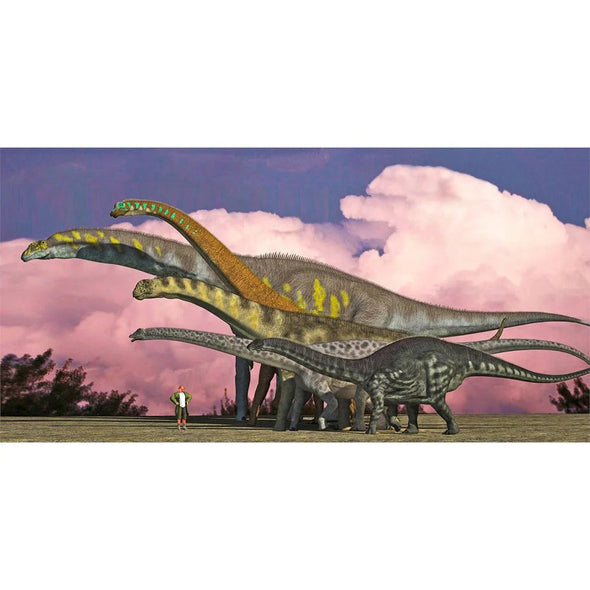 Sauropods - 3D Lenticular Oversize-Postcard Greeting Card - NEW Postcard 3dstereo 