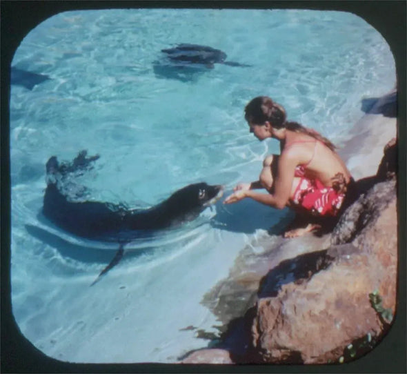Andrew - Sea Life Park - Hawaii - View-Master 3 Reel Packet - 1960s views - vintage (A130-S6A) Packet 3dstereo 